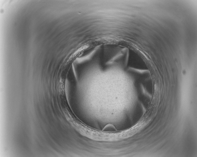 X0000087050048200704251015