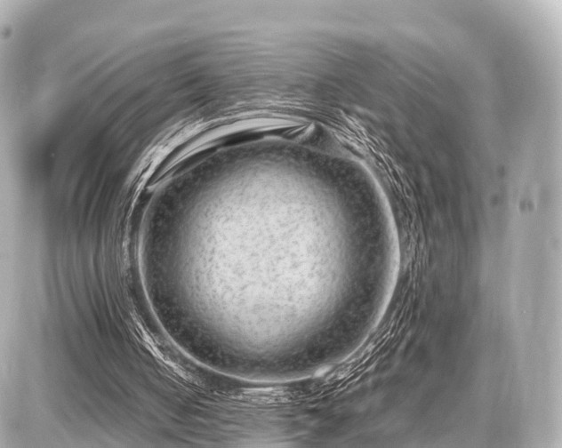 X0000087050050200704251014