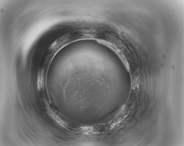 X0000087050052200704251014