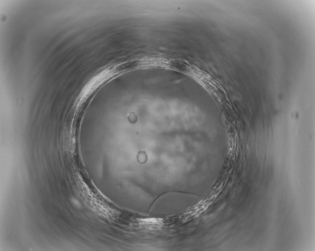 X0000087050053200704251014