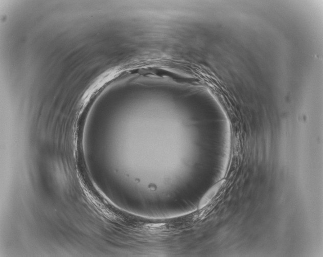 X0000087050054200704251014