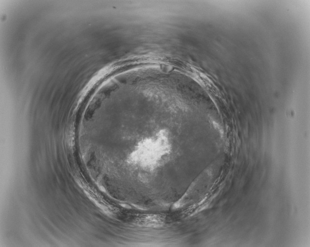 X0000087050056200704251014