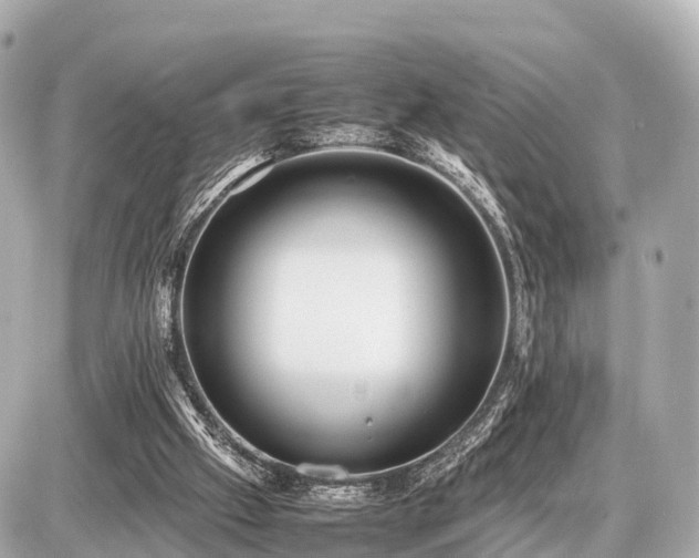 X0000087050057200704251014