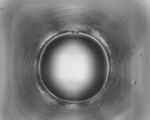 X0000087050058200704251014