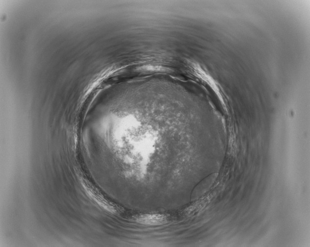 X0000087050059200704251014