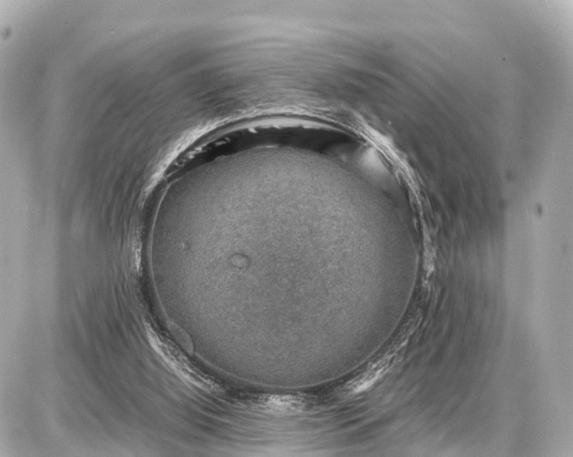 X0000087050060200704251014