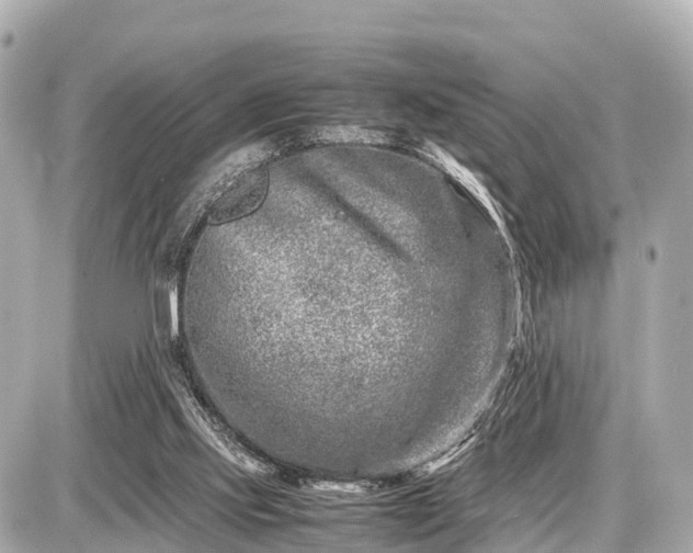 X0000087050061200704251014