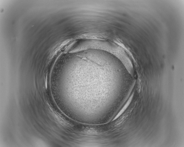 X0000087050062200704251014