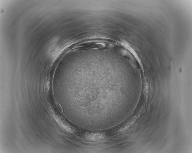 X0000087050063200704251014