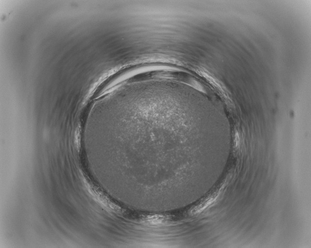 X0000087050064200704251014