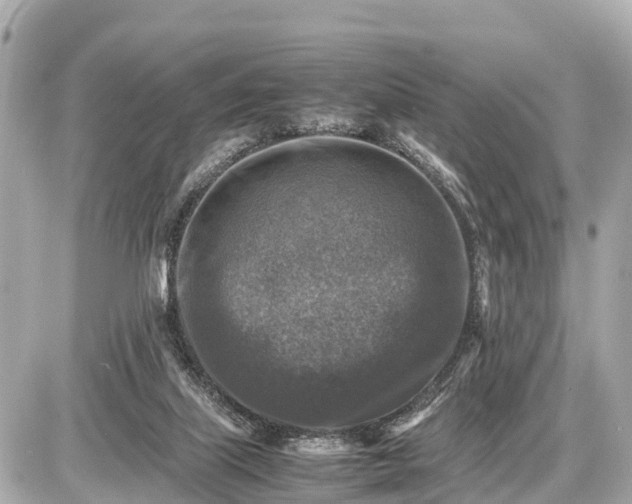 X0000087050067200704251014