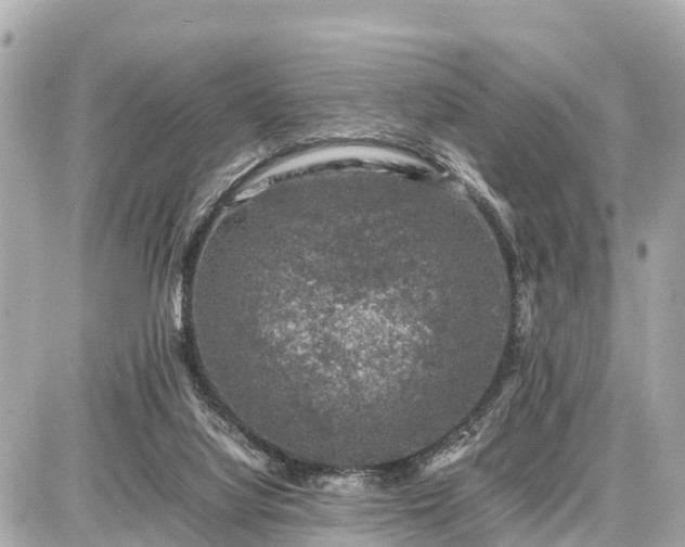 X0000087050068200704251014