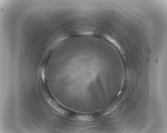 X0000087050069200704251014