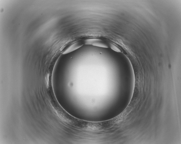 X0000087050070200704251014