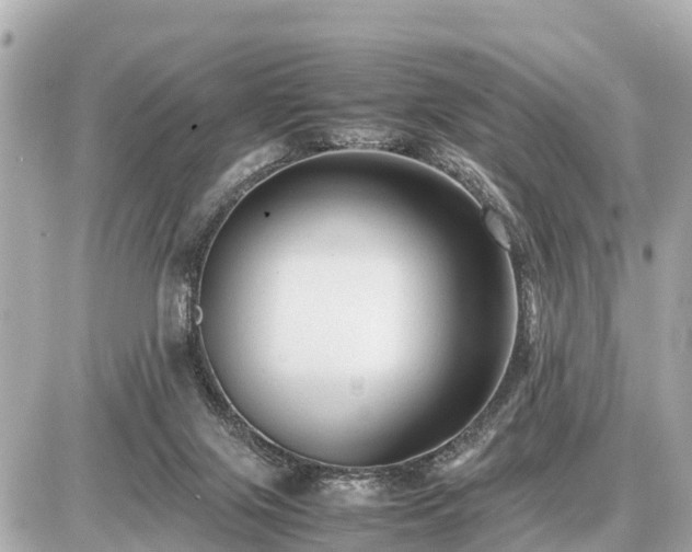 X0000087050071200704251014