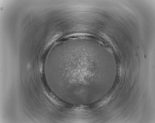 X0000087050072200704251014