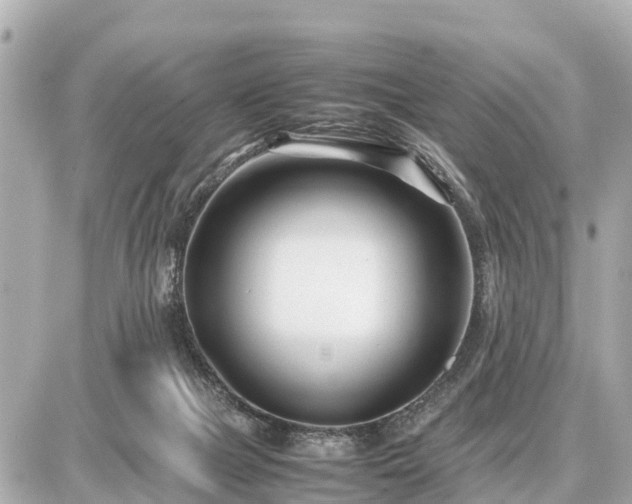 X0000087050073200704251014