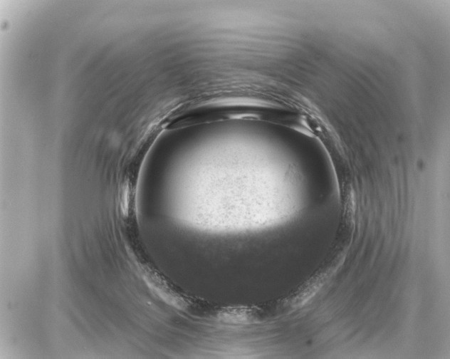 X0000087050076200704251014