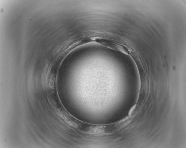 X0000087050078200704251015