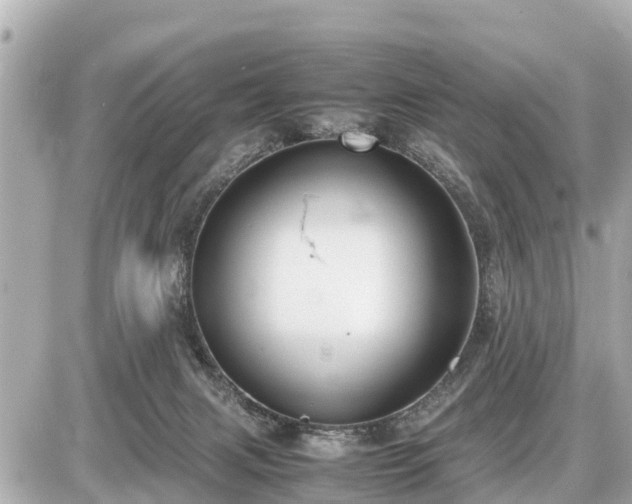 X0000087050079200704251015