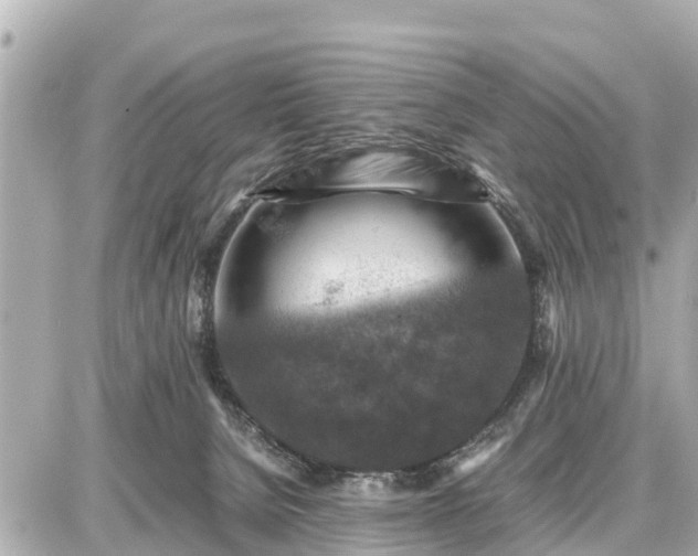 X0000087050080200704251015