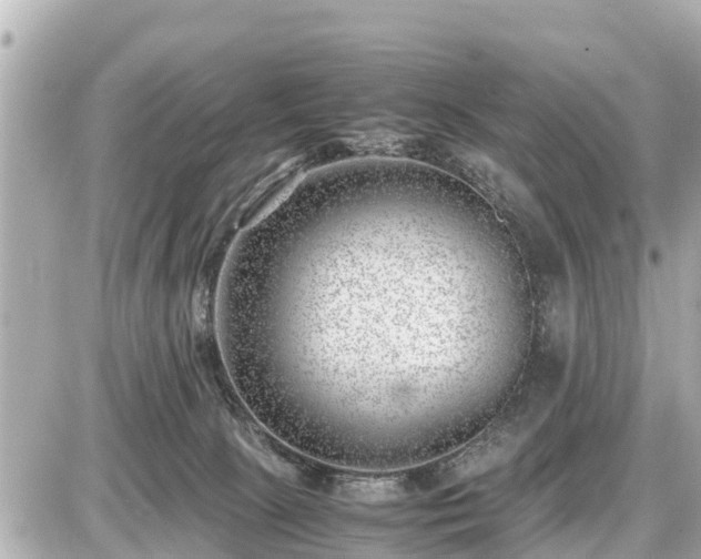 X0000087050081200704251015