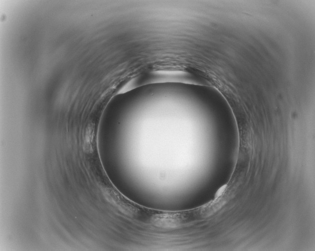 X0000087050082200704251015