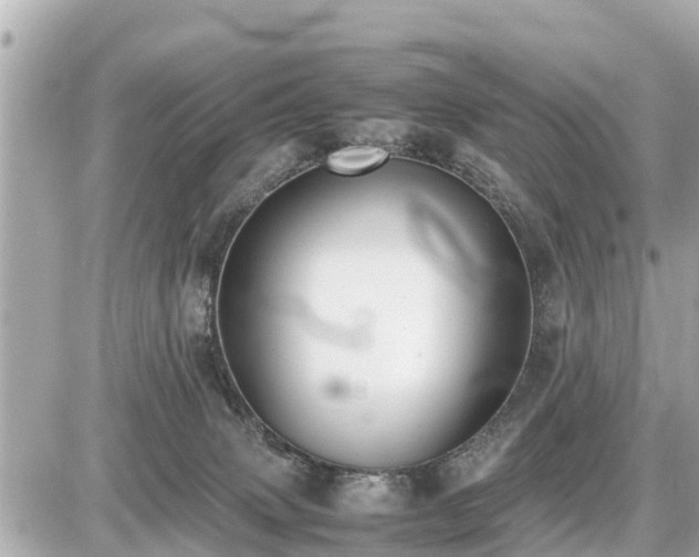 X0000087050083200704251015