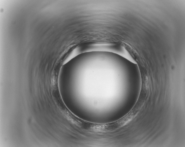 X0000087050084200704251015