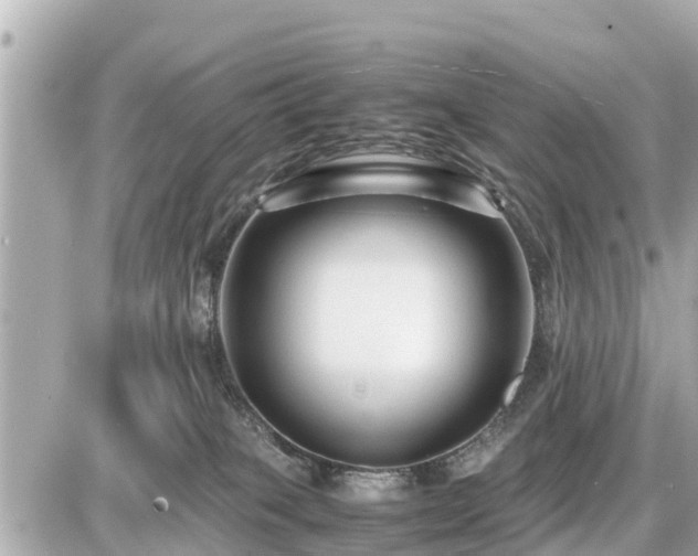 X0000087050085200704251015