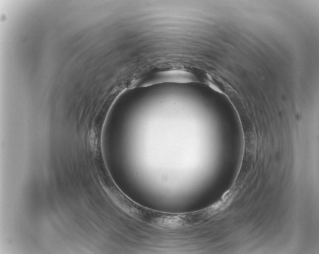 X0000087050086200704251015