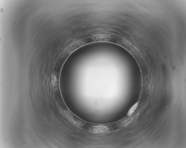 X0000087050087200704251015