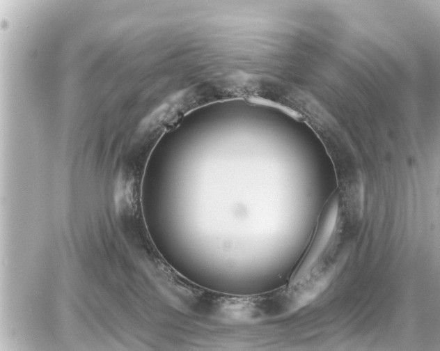 X0000087050088200704251015