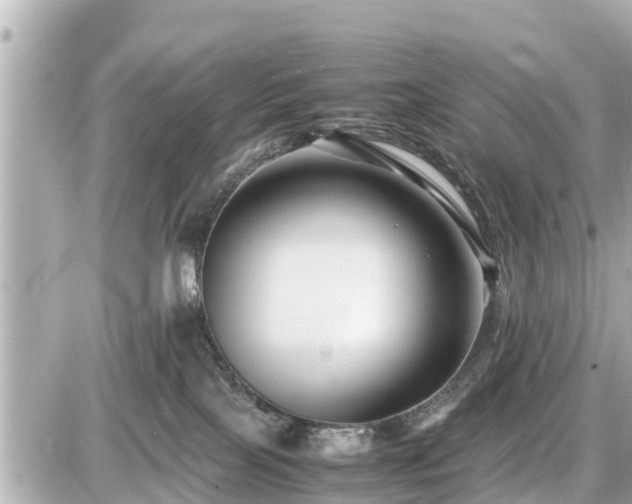 X0000087050089200704251015