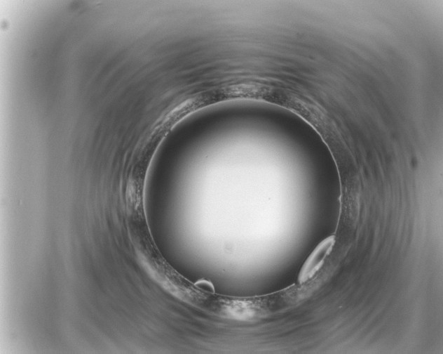 X0000087050091200704251015