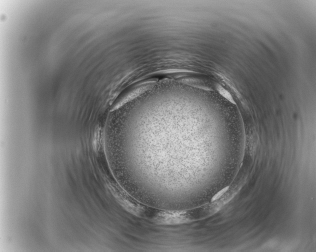 X0000087050093200704251015