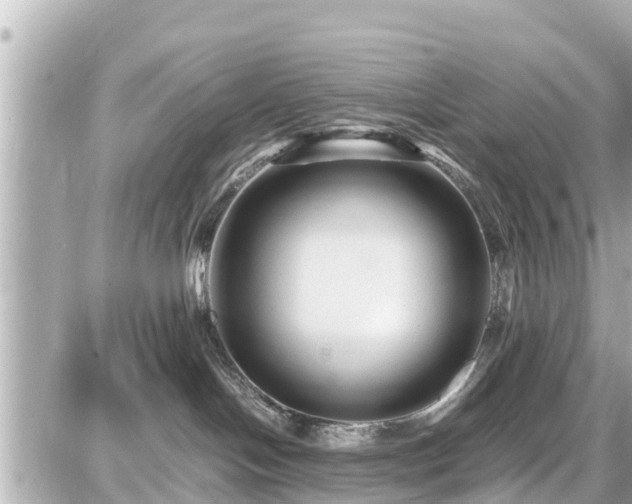 X0000087050094200704251015