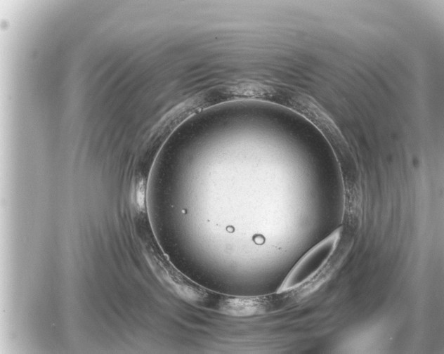 X0000087050095200704251015