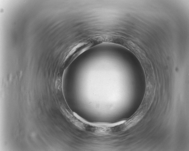 X0000087050096200704251015