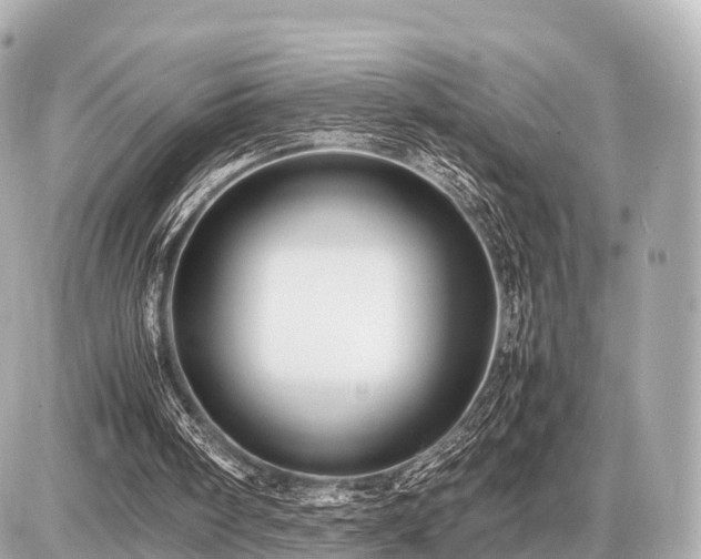 X0000087050098200704251014