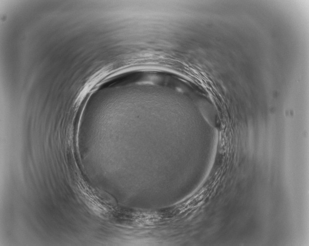 X0000087050099200704251014