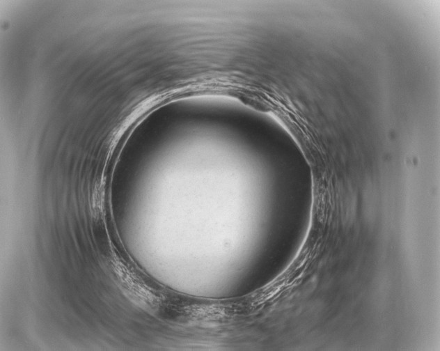 X0000087050100200704251014