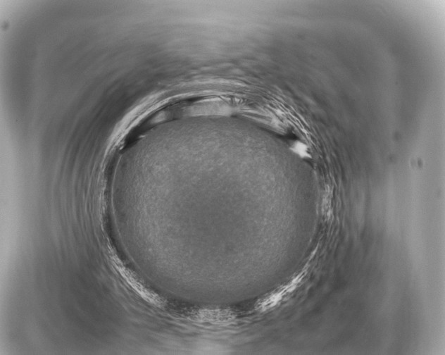 X0000087050101200704251014