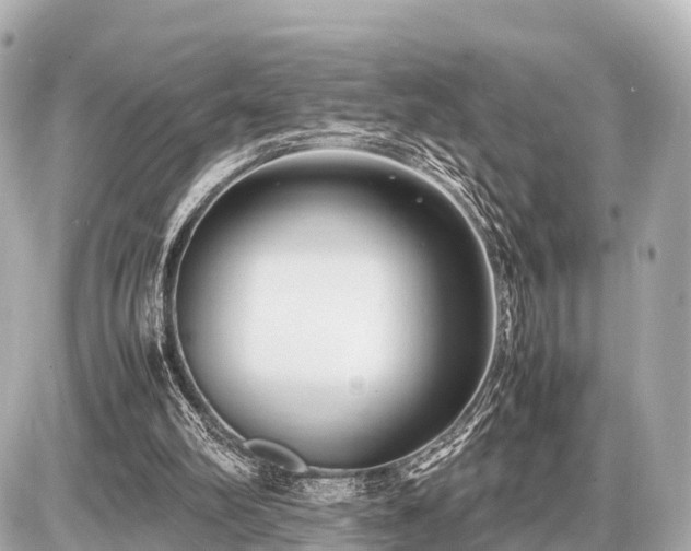 X0000087050102200704251014