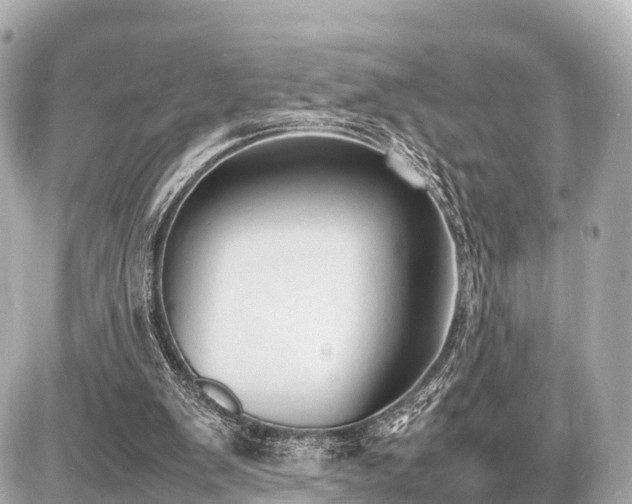 X0000087050103200704251014