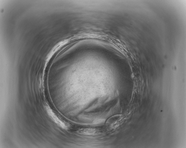 X0000087050104200704251014