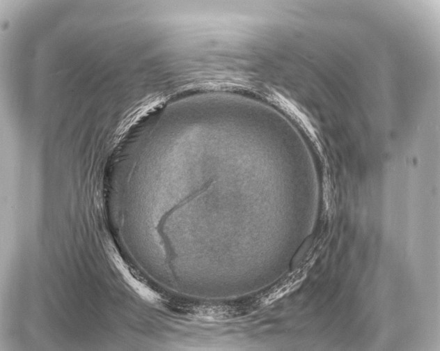 X0000087050105200704251014