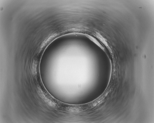 X0000087050106200704251014