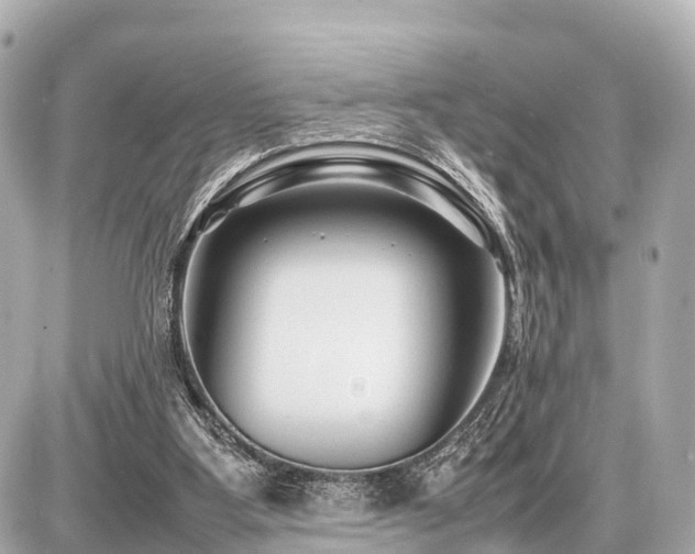 X0000087050107200704251014