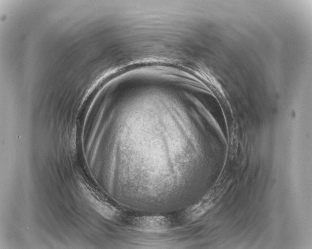 X0000087050108200704251014